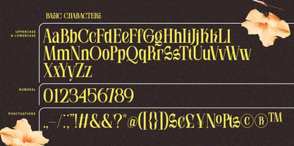 Soneburg Font Poster 9