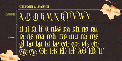 Soneburg Font Poster 10