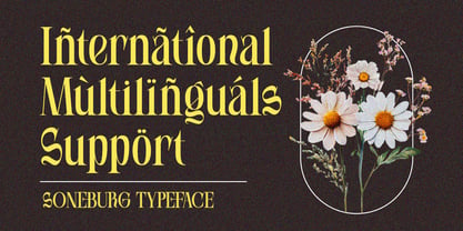 Soneburg Font Poster 8