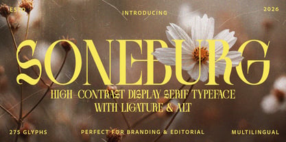 Soneburg Font Poster 1