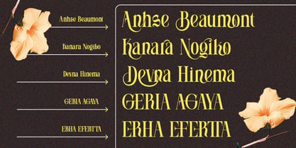 Soneburg Font Poster 4