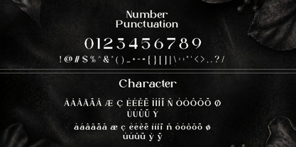 Ahkara Font Poster 6
