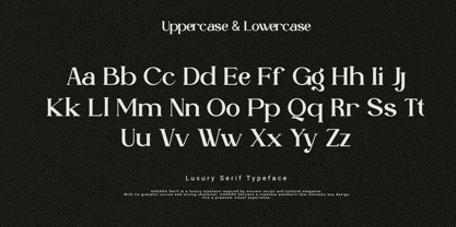 Ahkara Font Poster 3