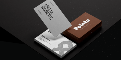 AT Pointo Font Poster 6