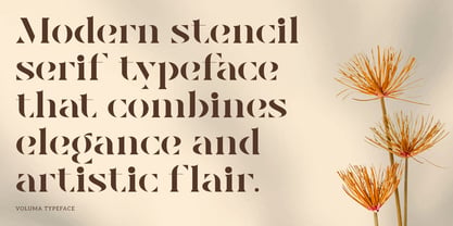 Voluma Font Poster 2