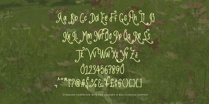 The Grateful Party Font Poster 7