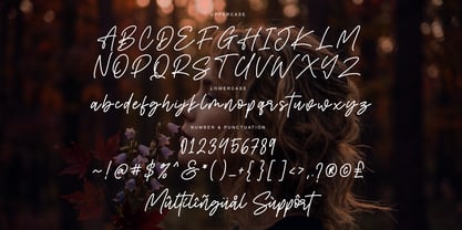 Bumgreks Signature Font Poster 10