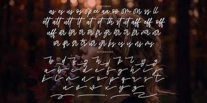 Bumgreks Signature Font Poster 11