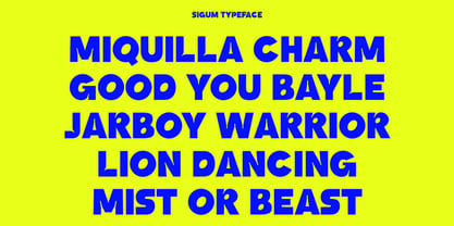 Sigum Font Poster 8
