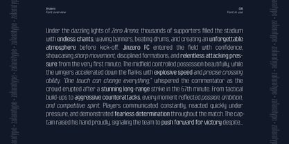 Jinzero Font Poster 8