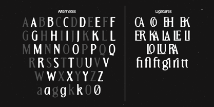MN Caviere Font Poster 7