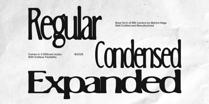 MN Caviere Font Poster 9