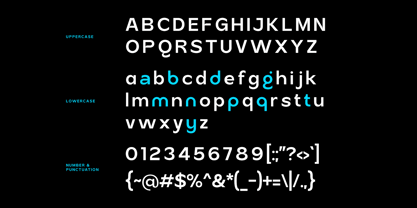 Ragonte Font Poster 9