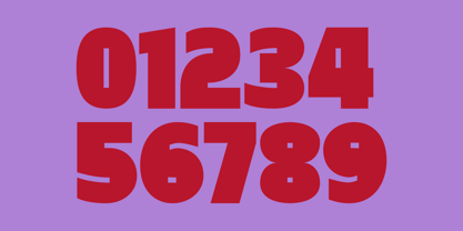 Bisked Font Poster 10