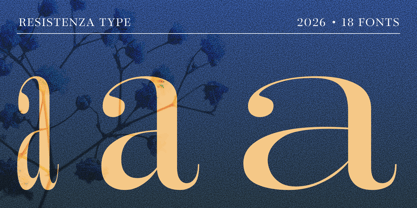 Effimera Font Poster 11