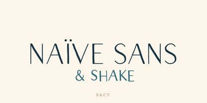 Naive Sans Font Poster 1