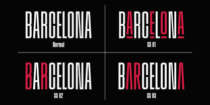 Division Grotesk Font Poster 12