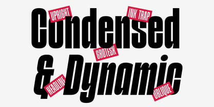 Division Grotesk Font Poster 5