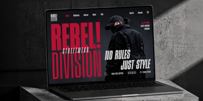 Division Grotesk Font Poster 10