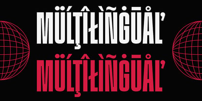 Division Grotesk Font Poster 14