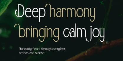 Dahaga Font Poster 3