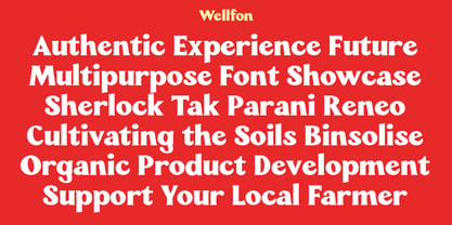 Wellfon Font Poster 10