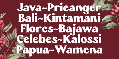 Wellfon Font Poster 6