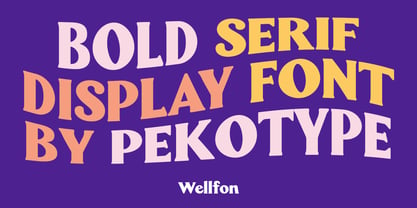 Wellfon Font Poster 2