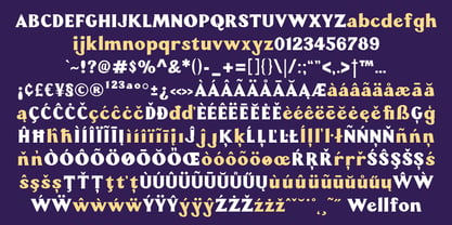 Wellfon Font Poster 3