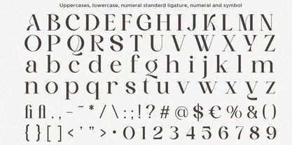 Dokuar Font Poster 7