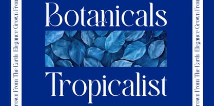Gablues Font Poster 8