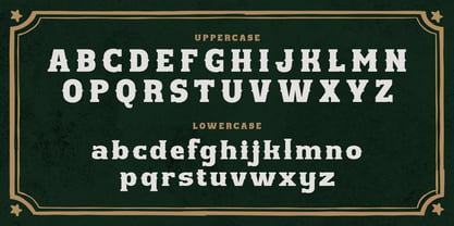 Western Hornet Font Poster 3