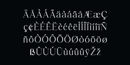 Prettishly Font Poster 7