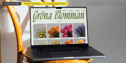 TT Qurdisma Font Poster 6