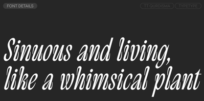 TT Qurdisma Font Poster 3