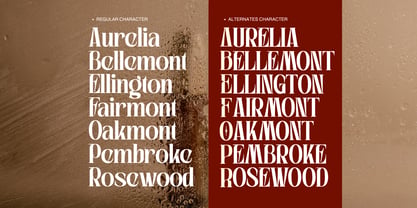 Westford Modern Font Poster 14