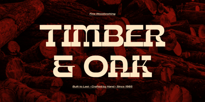 Bebop Rodeo Font Poster 4