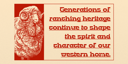 Bebop Rodeo Font Poster 5
