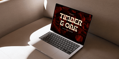 Bebop Rodeo Font Poster 9