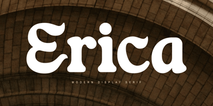 Erica Font Poster 1