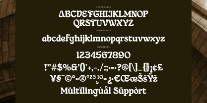 Erica Font Poster 9