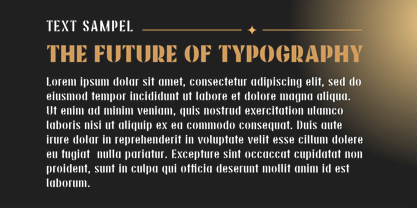 Velona Font Poster 8