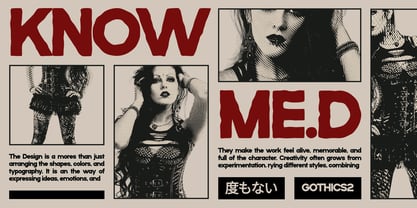 Bavnoir Font Poster 6
