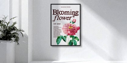 Sovera Romeri Font Poster 9