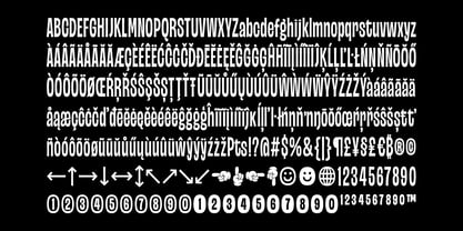 Nebraska Variable Font Poster 15