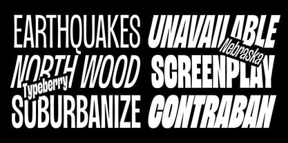 Nebraska Variable Font Poster 6