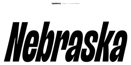 Nebraska Variable Font Poster 1