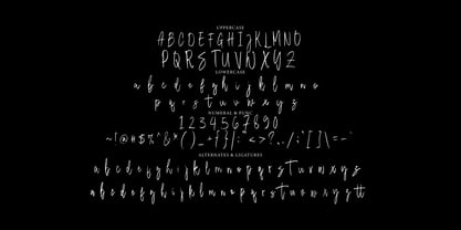 Sure Thing Signature Font Poster 9