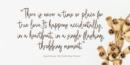 Sure Thing Signature Font Poster 8