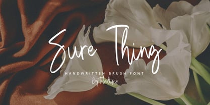 Sure Thing Signature Font Poster 1